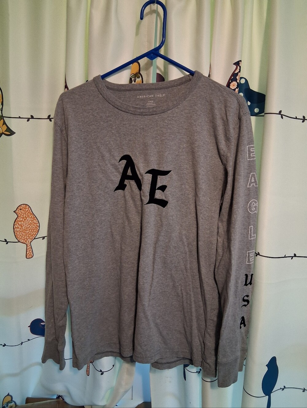 American Eagle Outfitters Men’s Gray Long-Sleeve Graphic T-Shirt Size M